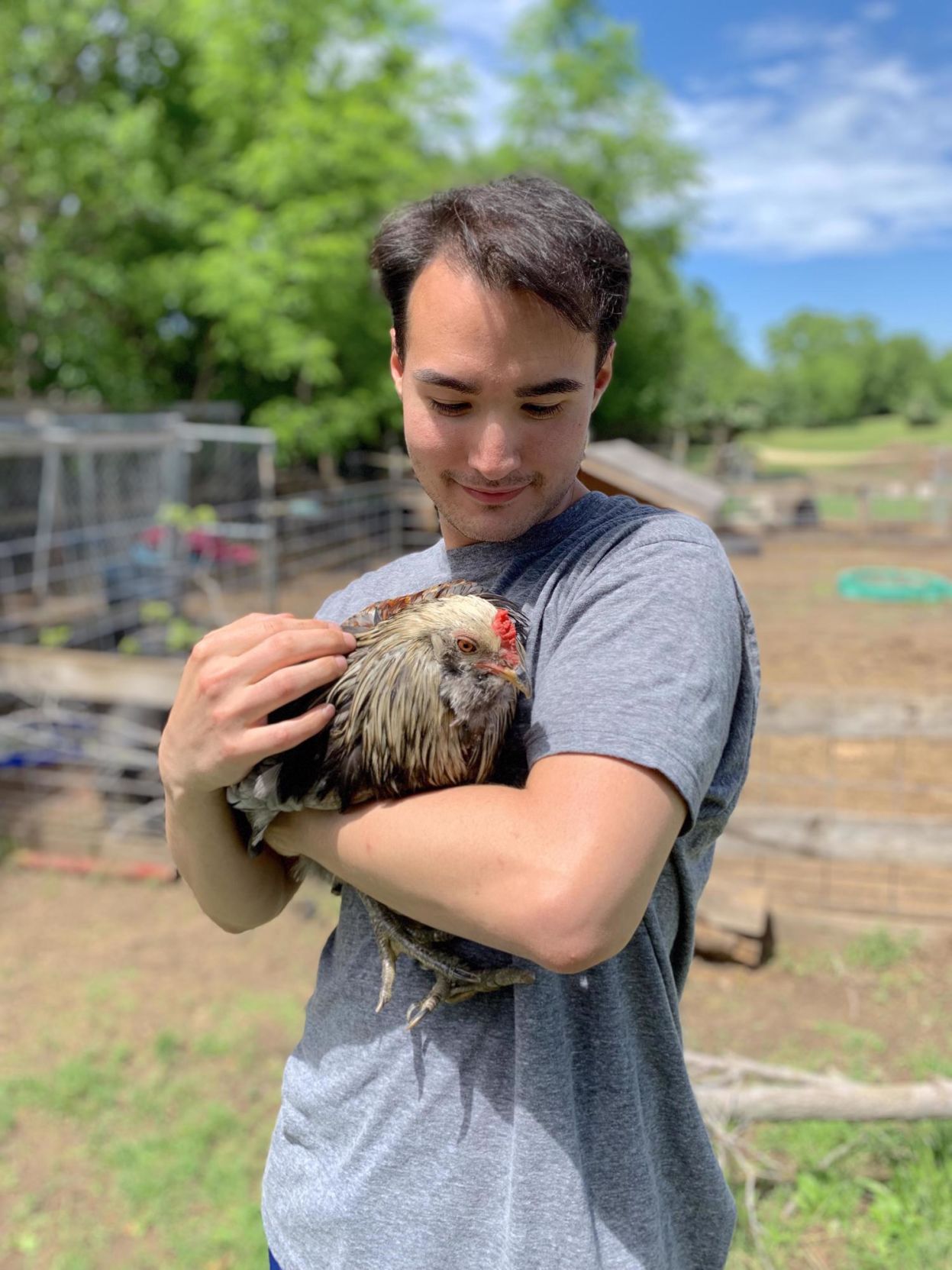 boy w chicken.jpg
